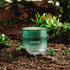 Laneige Cica Sleeping Mask